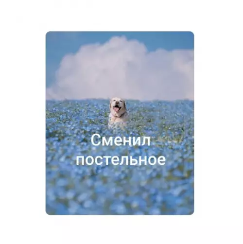 Смешная картинка №763961