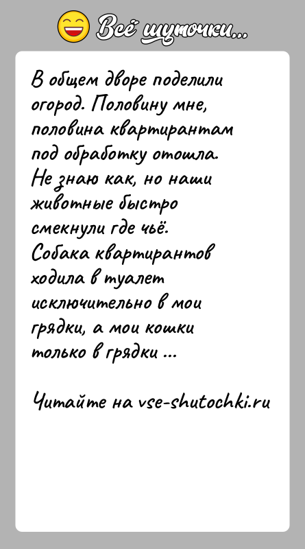 История: В общем дворе поделили огород. Половину мне, половина квартирантам под обработку отошла. Не знаю как, но наши животные быстро смекнули