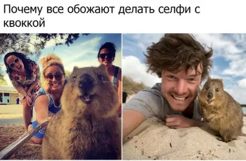 Смешная картинка №296925
