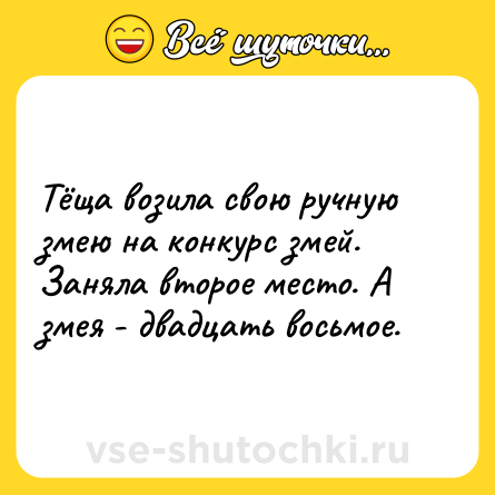 Шутка: Тёща возила свою ручную змею на конкурс змей. Заняла второе место. А змея - двадцать восьмое.