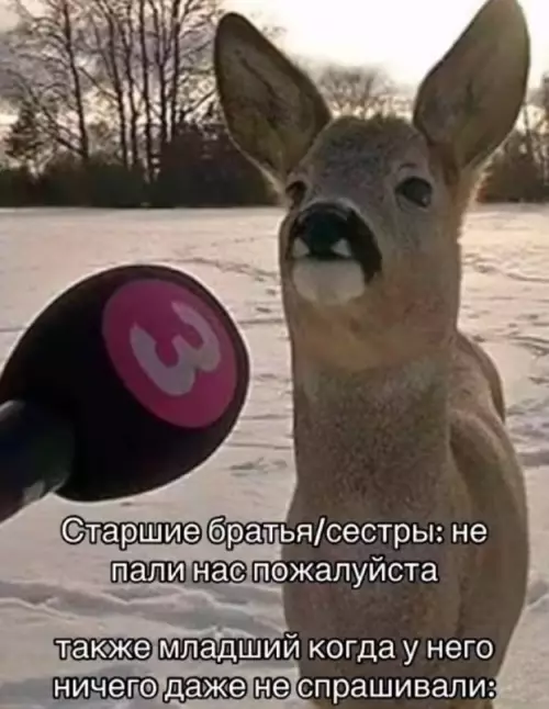 Смешная картинка №755201