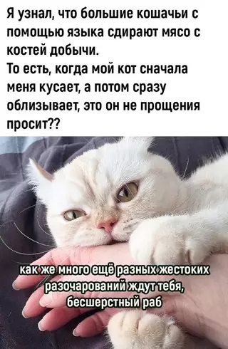 Смешная картинка №696619