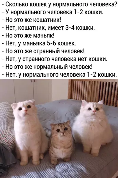Смешная картинка №493603