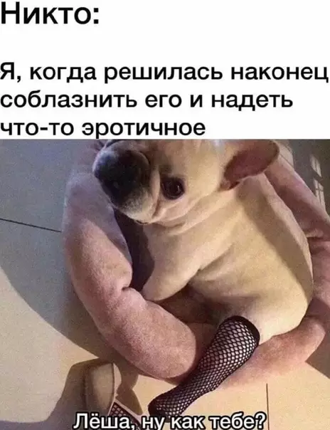 Смешная картинка №582214 Панина тоже Леша зовут
