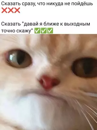 Смешная картинка №678953