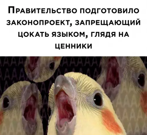 Смешная картинка №619133