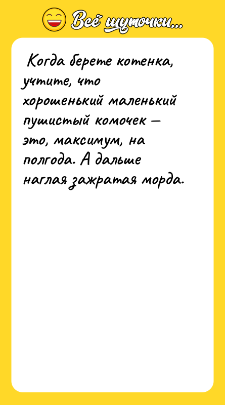  Когда берете котенка, учтите, что хорошенький маленький пушистый комочек