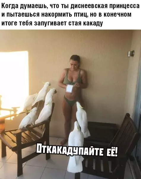 Смешная картинка №363248