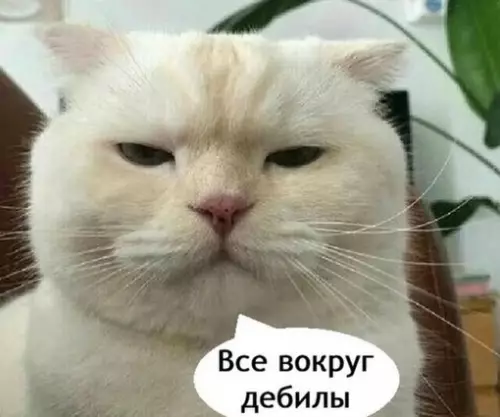 Смешная картинка №702861 Кто-то: работать с людьми очень классно и весело

Те, кто реально работают с людьми: