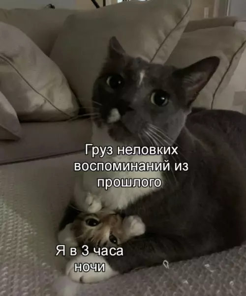 Смешная картинка №655148