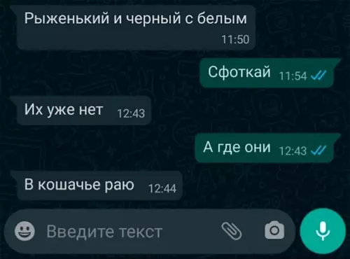 продолжение Смешная картинка №571217