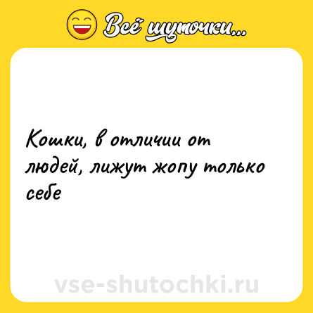 Шутка: Кошки, в отличии от людей, лижут жопу только себе