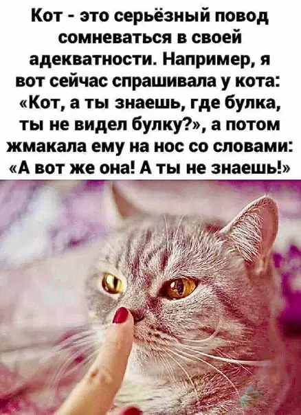 Смешная картинка №471097