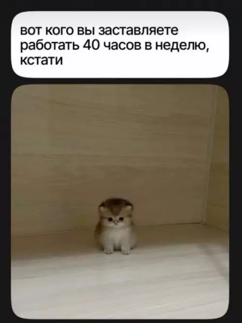 Смешная картинка №761360