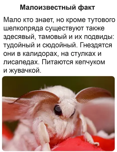 Смешная картинка №494016 Mинyтка зaниматeльной зooлoгии
