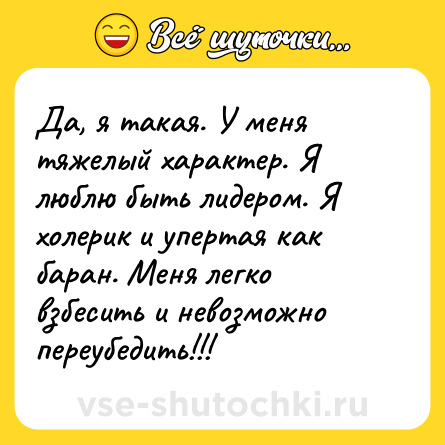 Шутка: Да, я такая. У меня тяжелый характер. Я люблю быть лидером. Я холерик и упертая как баран. Меня легко взбесить и невозможно переубедить!!!