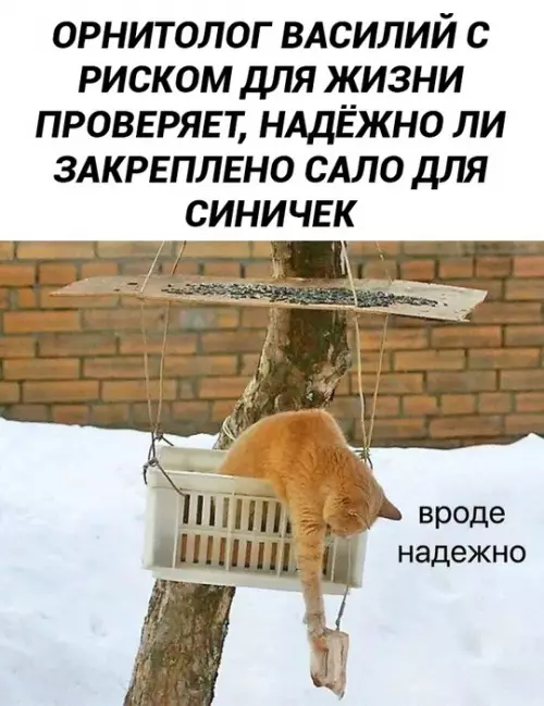 Смешная картинка №760556 Когда за дело берётся настоящий профессионал