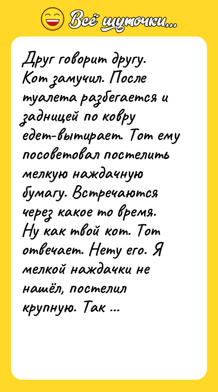 Друг говорит другу. Кот замучил. После туалета разбегается и задницей