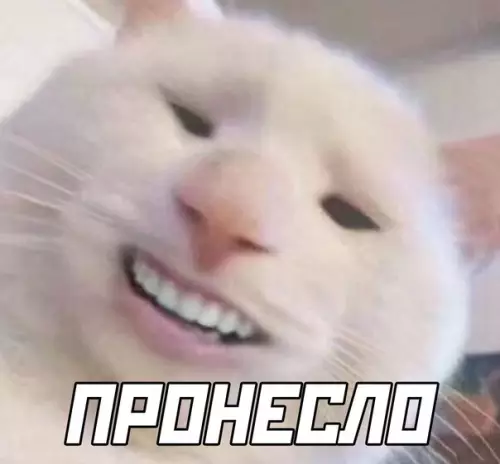 продолжение Смешная картинка №566425