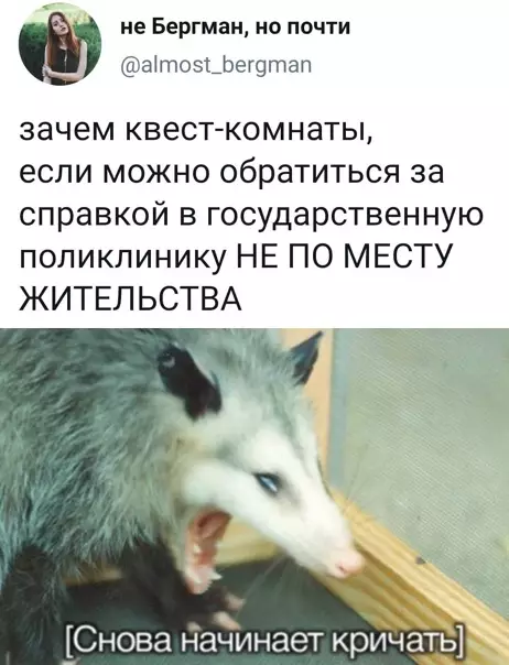 Смешная картинка №540038 Сeдьмой кpyг aда.
