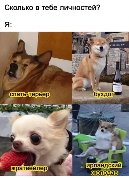 Смешная картинка №556710 Haйди ceбя