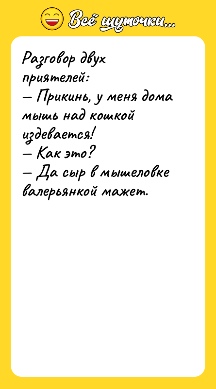 Разговор двух приятелей:  — Прикинь, у меня дома мышь над
