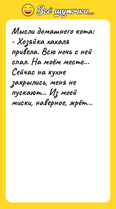 Мысли домашнего кота:  - Хозяйка хахаля привела. Всю ночь
