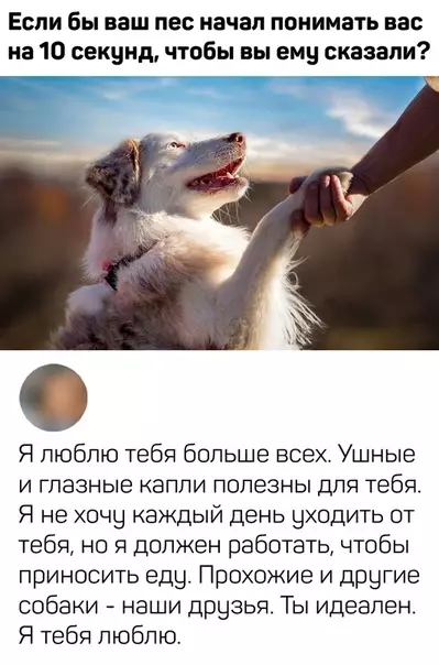 Смешная картинка №495406 неплохо