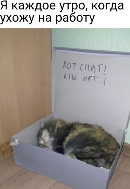 Смешная картинка №532280
