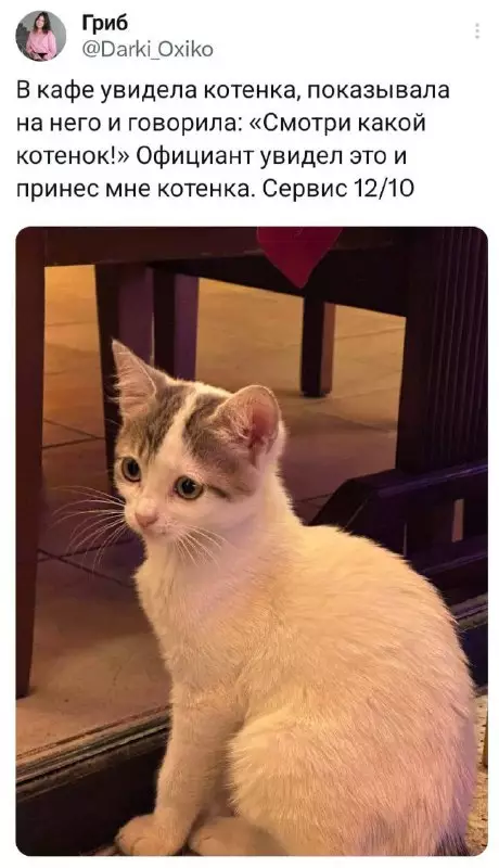 Смешная картинка №720926