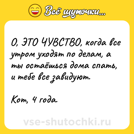 Шутка: О, ЭТО ЧУВСТВО, когда все утром уходят по делам, а ты остаёшься дома спать, и тебе все завидуют. <br><br>Кот, 4 года.