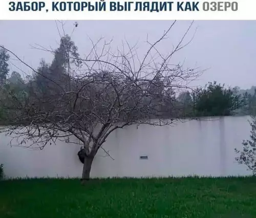 Смешная картинка №711458