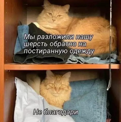 Смешная картинка №751112 Заботливые какие!