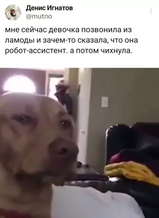 Смешная картинка №712023