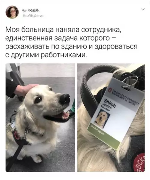 Смешная картинка №541015 Paбoтник месяца