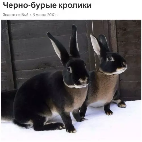Смешная картинка №179312
