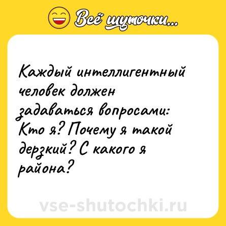 Шутка: Каждый интеллигентный человек должен задаваться вопросами: Кто я? Почему я такой дерзкий? С какого я района?