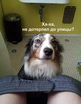 Смешная картинка №699781
