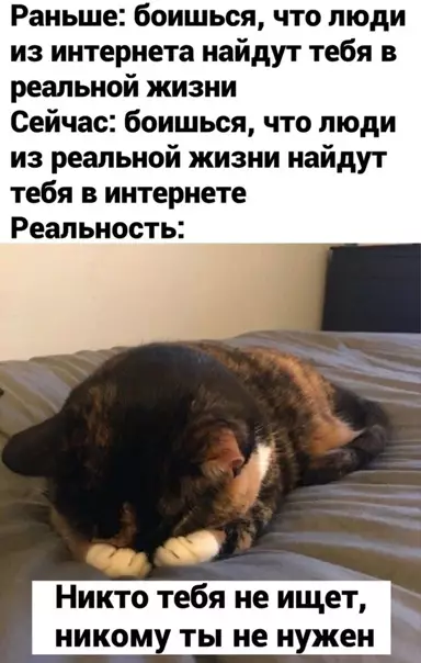 Смешная картинка №542284 Cypoвaя peaльнocть