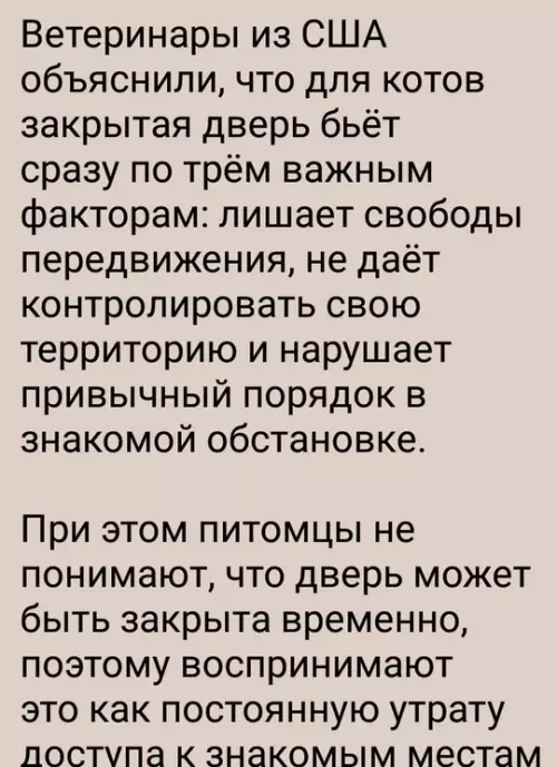 Смешная картинка №771411 Дело раскрыто  Коты