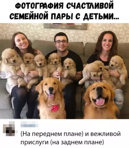 Смешная картинка №336595
