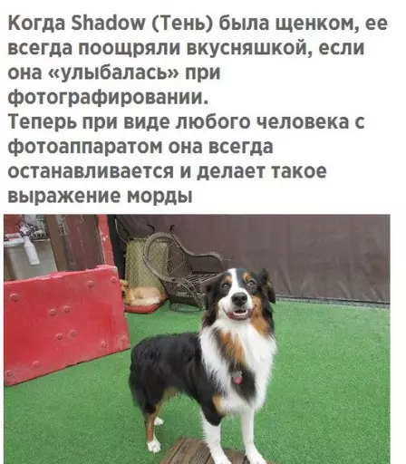 Смешная картинка №230856