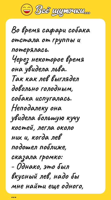 Во время сафари собака отстала от группы и потерялась. Через