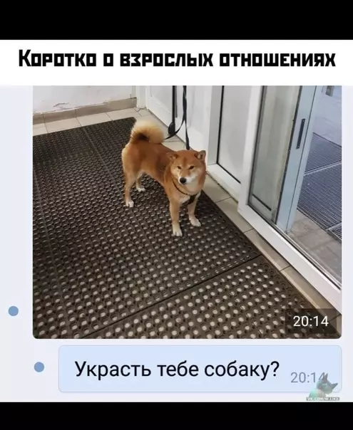 Смешная картинка №354845