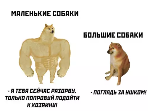 Смешная картинка №546127