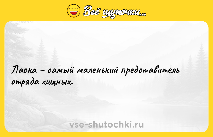 Цитата: Ласка самый маленький представитель отряда хищных.