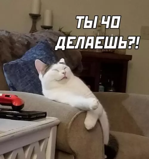 продолжение Смешная картинка №590713 Когда выключил телевизор около спящего бати: Коты