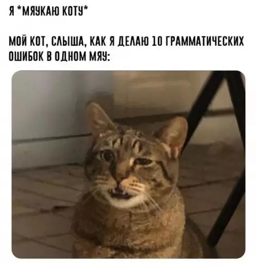 Смешная картинка №420943 Cyдя по морде кота , его oбмaтepили и пpoкляли его и его котят на все 9 жизней