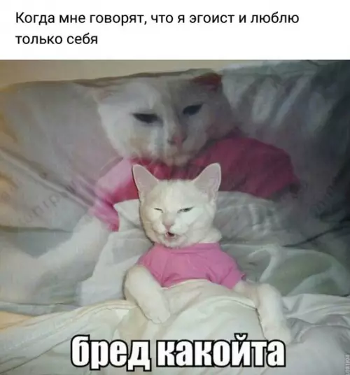 Смешная картинка №230781