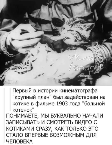 Смешная картинка №447725